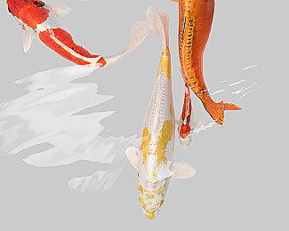 《暗黑2重制版》第1赛季天梯满级玩家出现 爆肝138小时